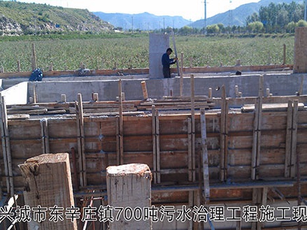 兴城市东辛庄镇700吨污水治理工程施工现场